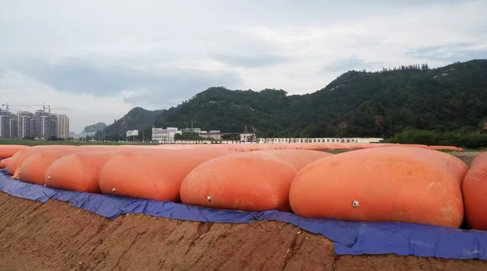 香港六宝宝典资料
